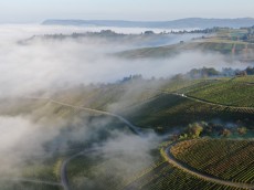 Weingut Schnaitmann
