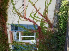 Weingut Brüder Dr. Becker