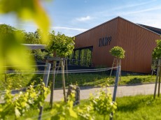 Weingut Klumpp