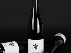 Weingut Karsten Peter