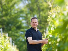 Weingut Alexander Laible