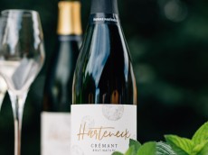 Weingut Thomas Harteneck