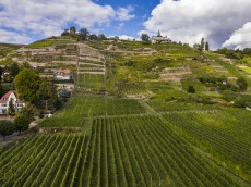 Weingut Karl Friedrich Aust