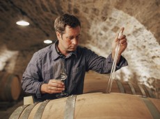 Weingut Rainer Sauer