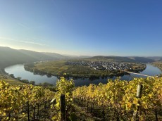 Weingut Eifel-Pfeiffer