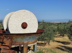 Fattoria Ramerino Soc. Agr. SRL