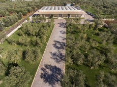 AZIENDA AGRICOLA DONATO CONSERVA
