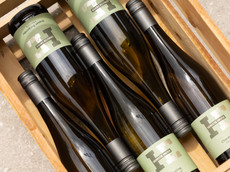 Weingut Hofmeister & Einsfeld