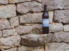 Weingut Wohlgemuth-Schnürr