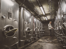 Weingut Gehlen-Cornelius