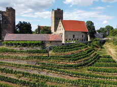 Weingut Graf Neipperg