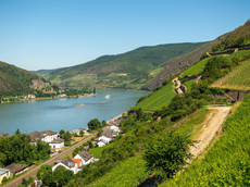 Weingut August Kesseler