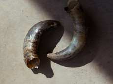 Weingut Bianka und Daniel Schmitt