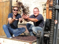 Weingut Graf Adelmann