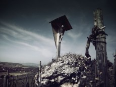 Weingut Schwedhelm