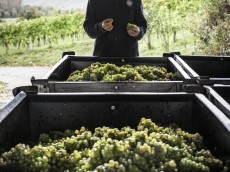 Weingut Schmitts Kinder