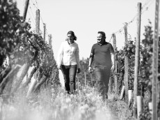 Weingut Matthias Dostert