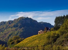 Weingut Würtzberg