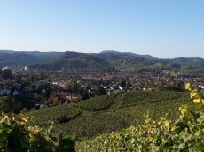 Weingut Monika Bähr