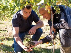 Weingut David Spies