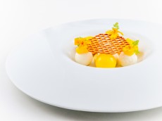 Clara - Restaurant im Kaisersaal