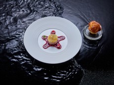ammolite – the lighthouse restaurant