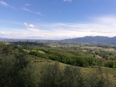Tenuta Maria Teresa