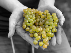 Weingut A. Gessinger