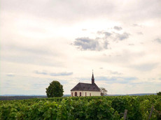 Weingut Boxheimerhof