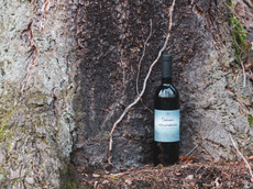 Weingut Wohlgemuth-Schnürr