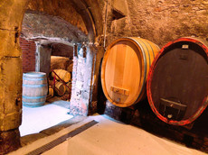 Weingut Fischborn-Schenk