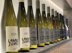 Weingut Lamm-Jung
