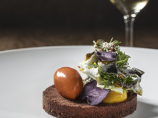 Fine Dining by Phillip Probst