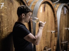 Weingut Albert Kallfelz