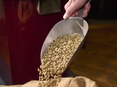 Kaffeewelt Eisbrenner