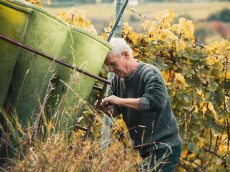 Weingut-Zehnthof Familie Weickert
