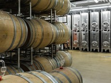 Weingut Horst Sauer