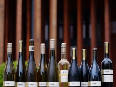 Weingut F-J Regnery
