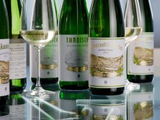 Weingut Wwe. Dr. H. Thanisch - Erben Thanisch