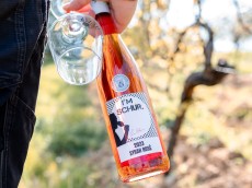 Weingut Schur
