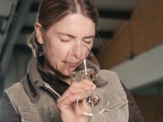 Weingut Eva Vollmer