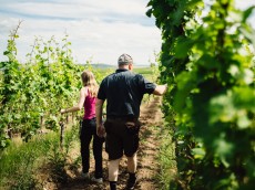 Weingut Graf-Binzel