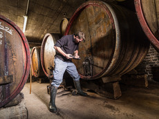 Weingut Boxheimerhof