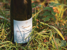 Weingut Wohlgemuth-Schnürr