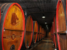 Fellbacher Weingärtner eG