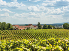 Sebastian Erbeldinger – Bastianshauser Hof