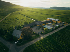 Weingut Nik Weis - St. Urbans-Hof