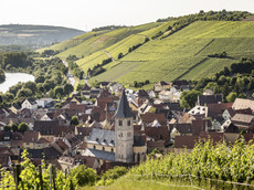 Weingut Schmitts Kinder