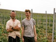 Weingut George