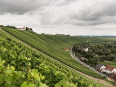 Weingut Horst Sauer